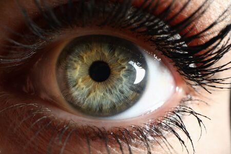 Human green eye supermacro closeup background. Check vision conceptの写真素材