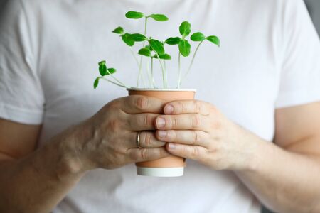 Male hand hold pot with green sprout closeup. Home gardening conceptの写真素材