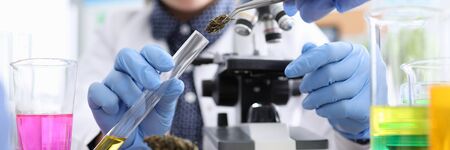Close-up view of persons hand putting dry sample of cannabis into flask with liquid. Tubes with...