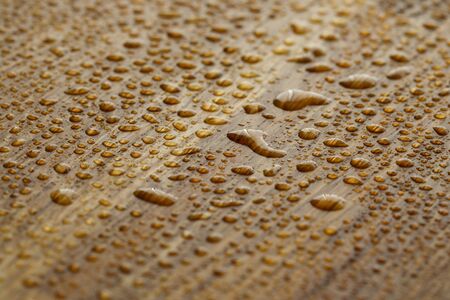 Naturally oak tree with water droplets coated with an oleophobic composition close-up background. Protective wood compound concept.の写真素材