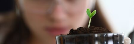 Close-up of scientist hand holding sample of sprout. Green spire growing out from soil. Researcher exploring how germ developing. Botany and ecology conceptの写真素材