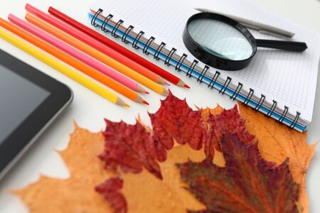 Multi-colored pencils and fallen leaves of Lena lie on white school desk background. Autumn back to school conceptの写真素材