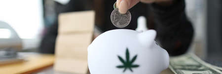 Close-up of female hand putting money to white piggy bank with marijuana sign. Woman holding silver coin. Moneybox on table. Thrift-box and investment conceptの写真素材