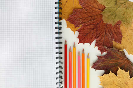 On the table are colored pencils and a notebook in a cage on a spring. The concept of preparation for the educational processの写真素材