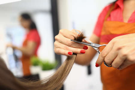 Hairdresser holds scissors and hair tips in his hands. Beauty salon services conceptの写真素材