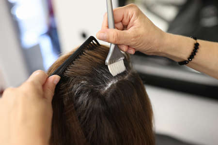 Hairdresser applies hair dye to clients hair with brush in beauty salon. Hairdressing services conceptの写真素材