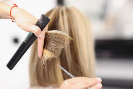 Hairdresser holds scissors and comb in his hand and cuts the ends of hair. Beauty salon services...