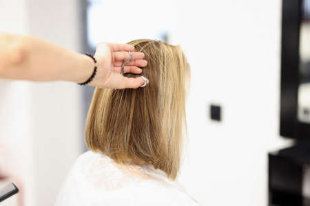 Womans hair is cut. Training and courses for profession hairdresser conceptの写真素材