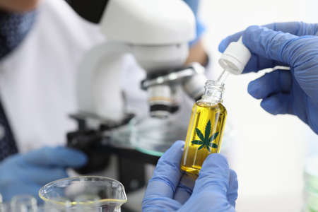 Chemical scientists examine composition of hemp extract under microscope in chemical laboratory closeup. Quality Control of narcotic medicines concept.の写真素材