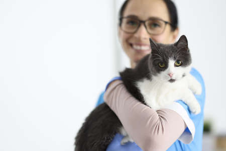 Smiling veterinarian holds cat in his arms. Veterinary clinic services conceptの写真素材