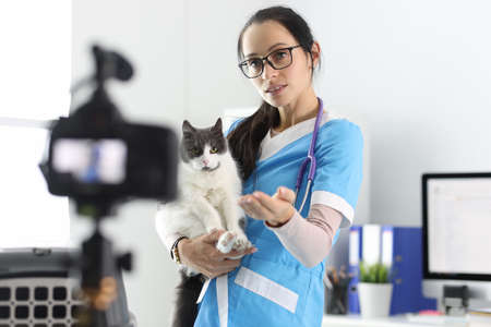 Veterinarian records the examination of the cat on camera. Helping pets online conceptの写真素材
