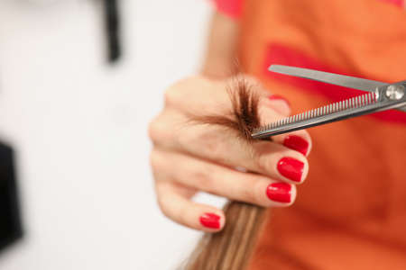 Hand of aster hairdresser holds split ends and scissors. haircut for long hair conceptの写真素材