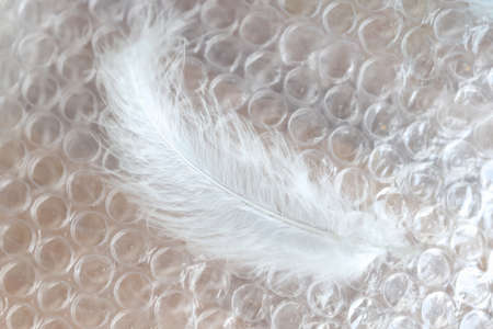 White feather lying on packaging cellophane closeup