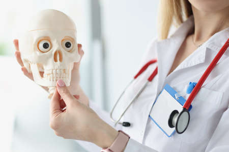 Doctor with stethoscope showing jaws on human skull closeupの写真素材