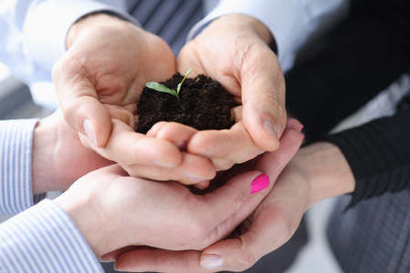 Many hands holding small green sprout with earthの写真素材