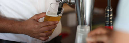 Bartender at bar pours beer into glassの写真素材