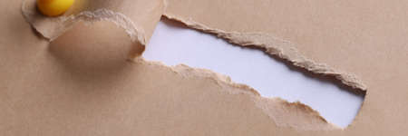 Inscription search in hole on white paper with ragged edgesの写真素材