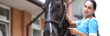 Woman doctor veterinarian with stethoscope examining brown horseの写真素材
