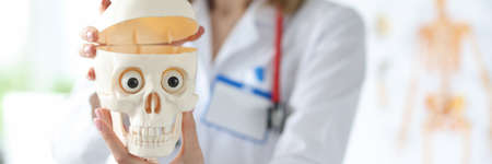 Woman doctor holding plastic model of human skull in her hands closeup