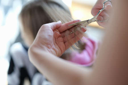 Master hairdresser cuts split ends of hair with scissors closeupの写真素材