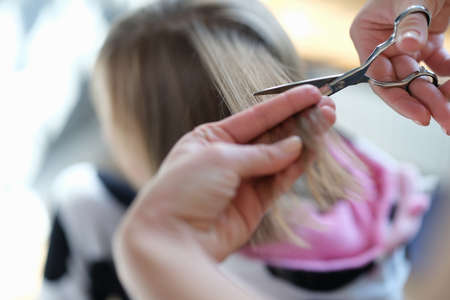 Female hands cut the hair of a woman with scissorsの写真素材