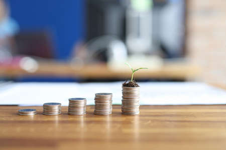Coins by height lie on the table, green sprout on the money