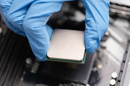 Handyman in rubber gloves installing computer processor closeup
