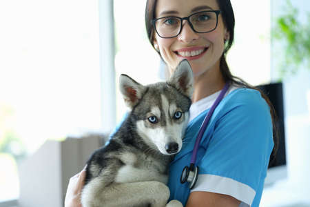 Young smiling veterinarian holds dog in arms closeupの写真素材