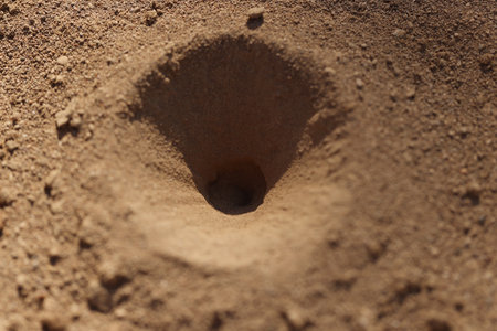 Old small hole in ground or steppe or field with texture of soil and sand