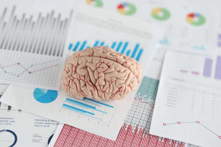 Artificial model of human brain lying on documents with graphs closeup