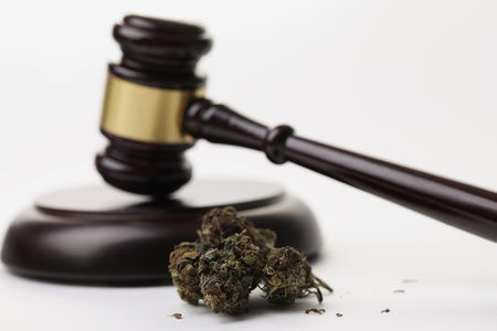 Cannabis herb buds and gavel as symbol of legalization of marijuanaの写真素材