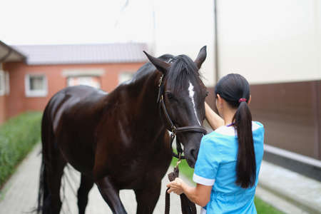 A woman in stroking the muzzle of a brown horseの写真素材