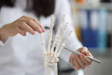 Female scientist explore human skeleton hand model, laboratory and medical anatomy scienceの写真素材