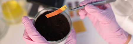 Scientist chemist checking soil acidity using litmus paper in laboratory closeupの写真素材