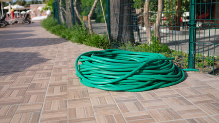 Twisted green rubber hose for watering plants lying on sidewalkの写真素材