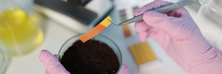 Hands hold litmus over a soil sample with tweezers, close-upの写真素材