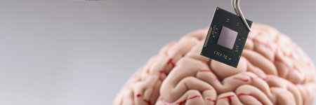 Person use tweezers to put tiny computer chip in plastic human brain model