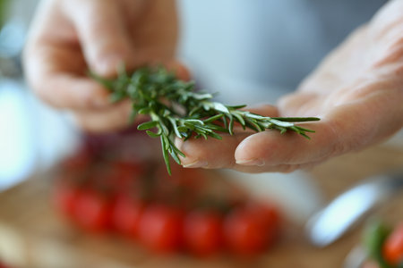 Rosemary herbs in hands of chef in kitchenの写真素材