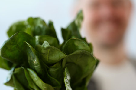 Green bush of fresh juicy sorrel in hands of cook