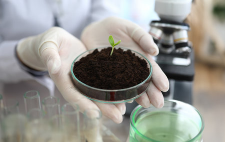 Scientists experimenting with sprout in lab