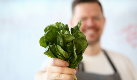 Male Hand Holding Green Aromatic Sorrel Bunchの写真素材
