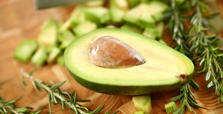 Tropical Avocado Fruit Half Holding Brown Seed
