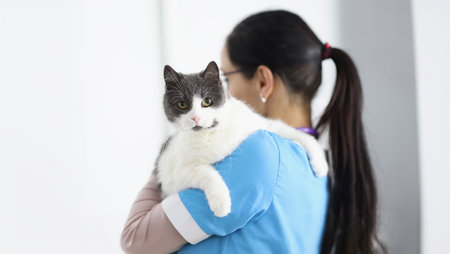 Veterinarian doctor is holding cat in his armsの写真素材