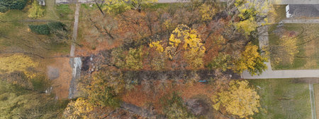 Green area from building, green trees with golden leaves in autumn seasonの写真素材
