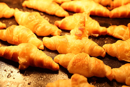 Freshly Baked Croissants Beautifully Arranged on a Baking Sheet Waiting to Be Servedの写真素材