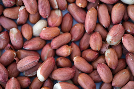 CloseUp Photograph of Raw Peanuts Featuring Red Skin on Display for the Publics Viewの写真素材