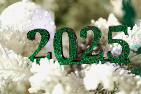 Join us for an exciting New Year 2025 Celebration adorned with Glittering Green Decorations