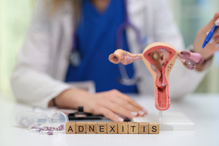 Understanding Adnexitis A Comprehensive Exploration of Medical Insights and Anatomical Overviewの写真素材