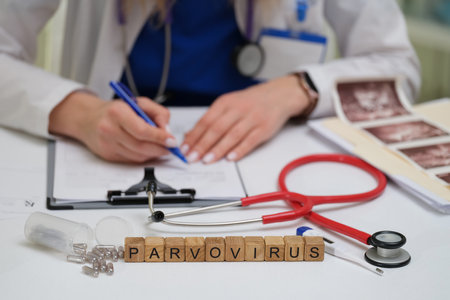 Doctors Workspace A Comprehensive Exploration of Parvovirus Insights and Implicationsの写真素材