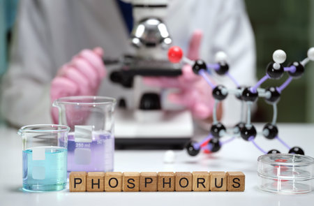 Delving into the Role of Phosphorus in Ongoing and Future Scientific Research Initiativesの写真素材